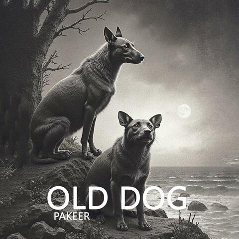 Old Dog Pakeer (feat. Qbaloch QB & Dark Street)