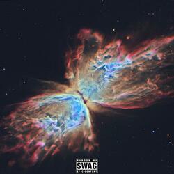 Butterfly Effect