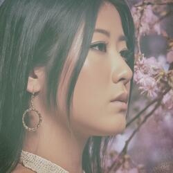 桜の下で夢見て (Sakura no Shita de Yumemite) - Dreaming Beneath the Sakura Blossoms