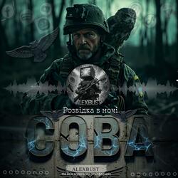 Сова (розвідка ночі)