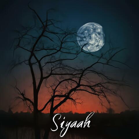 Siyaah
