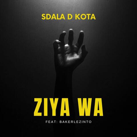 ZIYA WA (feat. Bakerlezinto)