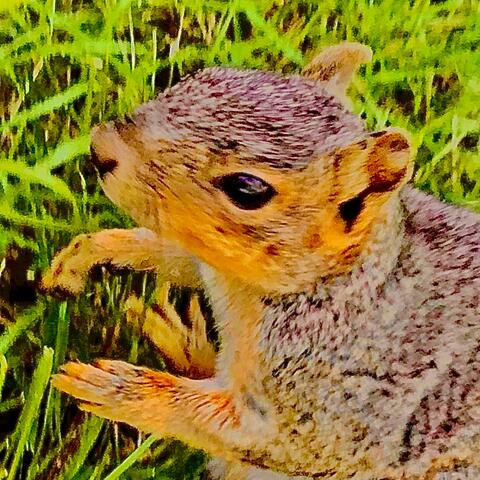 Bread and Friendship