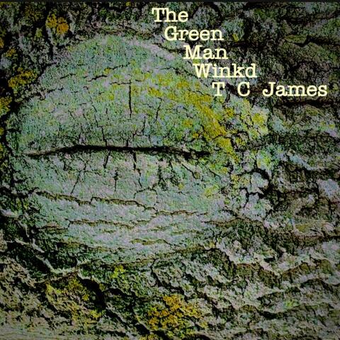 The Green Man Winkd