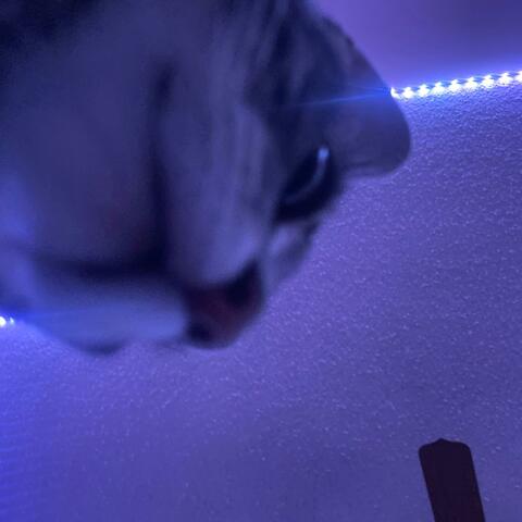 shoot for me (feat. TheRealJ3)