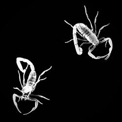 play around (feat. TheRealJ3)