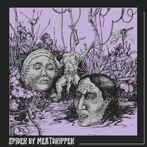 Spider