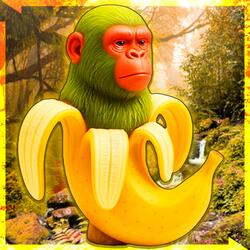 CHIMPANZINI BANANINI (Brainrot Meme)