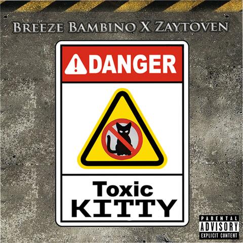 Toxic Kitty