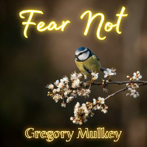 Fear Not