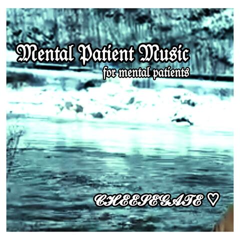 CHEESEGATE PRESENTS: Mental Patient Music (For Mental Patients)