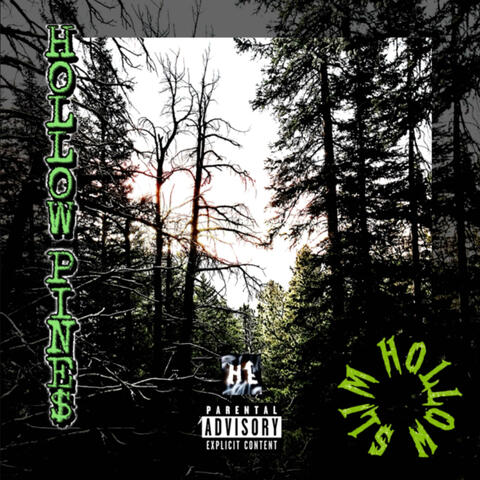 HOLLOW PINE$