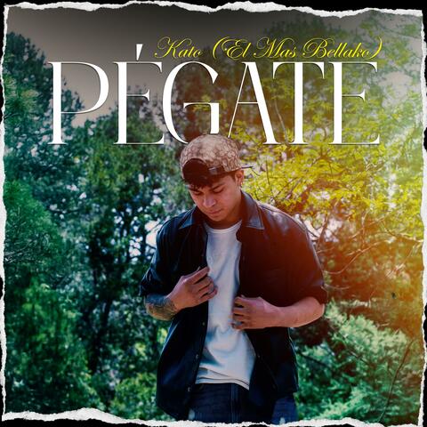 PEGATE