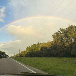 risk it all (feat. Psuedoname)