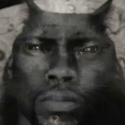 hollup, is this a teaser?