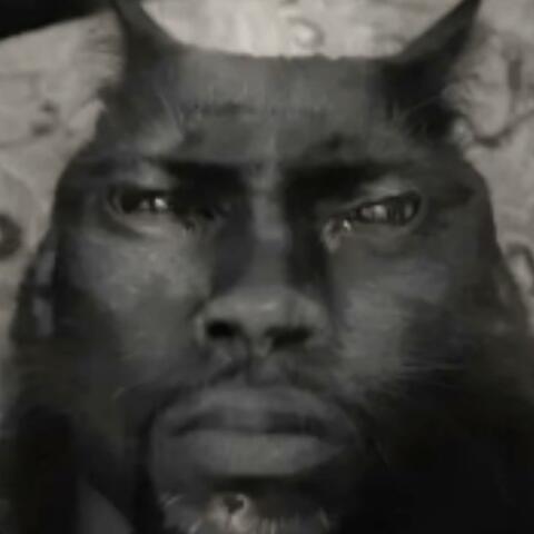 hollup, is this a teaser?