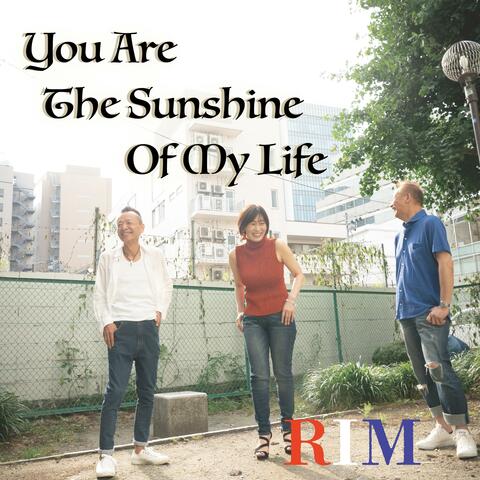 You're The Sunshine Of My Life