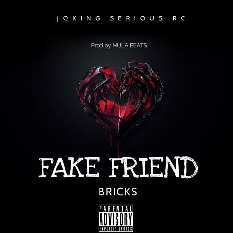 FAKE FRIENDS