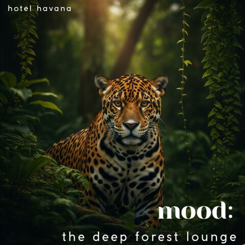 MOOD : The deep forest lounge