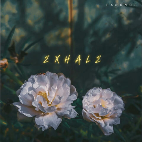 Exhale
