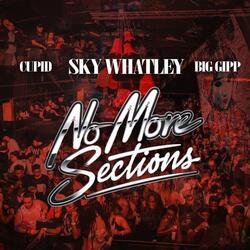 No More Sections (feat. Cupid & Big Gipp)