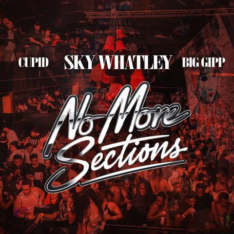 No More Sections (feat. Cupid & Big Gipp)
