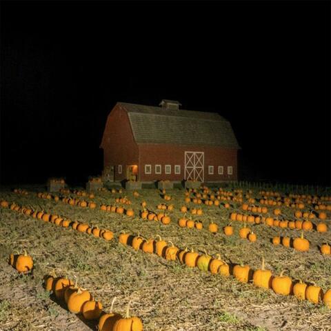 PUMPKINS