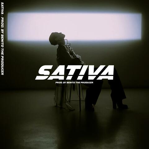 Sativa (Instrumental de Trap Detroit Hard, Type Beats Trap Freestyle 2025)