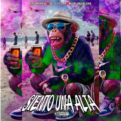 siento una alta (King Money x Cori Problema x El Osito R)