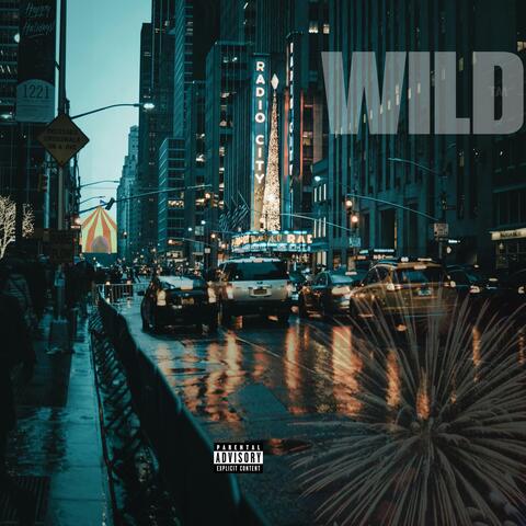 WILD (feat. SOULSICKIRONIK & AMERICAN MXNIC)
