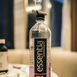 Bad Bitch (feat. Jaylo, Guwop & Theezy)