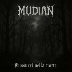 Sussurri della notte