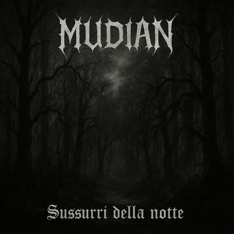 Sussurri della notte