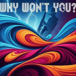 Why Won't You?
