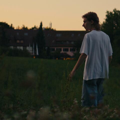 bis die Blätter wieder fall'n