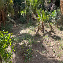 Touch It Like You Mean It