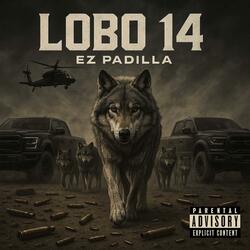 LOBO 14