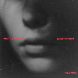 What is Reality (feat. Pale Mass)