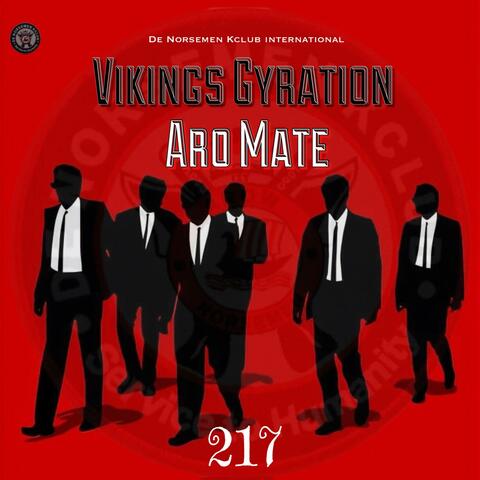 Vikings Gyration Aro Mate