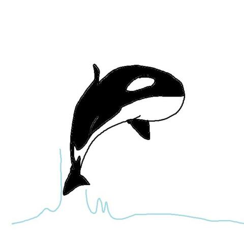 likeakillerwhale