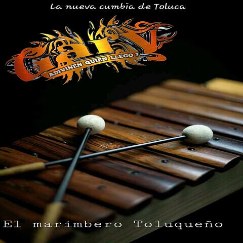 El marimbero Toluqueño