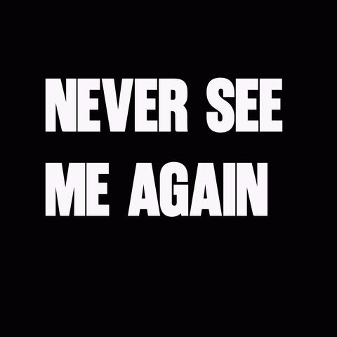 Never See Me Again