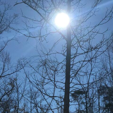 Alabama Sky (Instrumental Version)