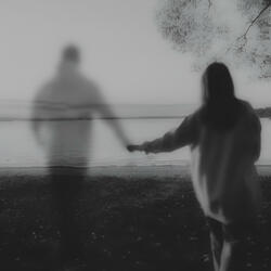 Where Have You Gone