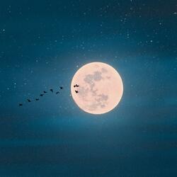 in the atmosphere