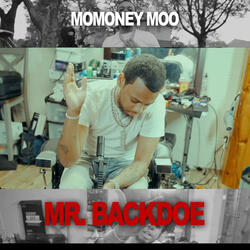 Mr Backdoe
