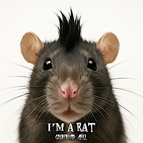 IM A RAT