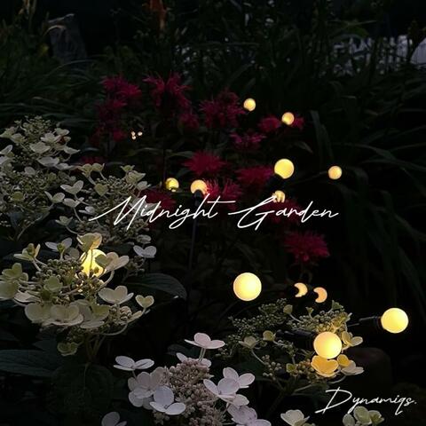 Midnight Garden