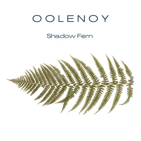 Shadow Fern