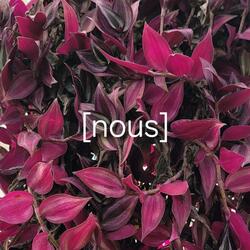 nous